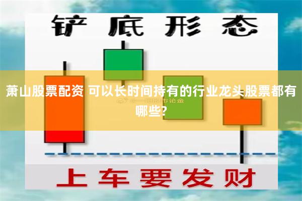 萧山股票配资 可以长时间持有的行业龙头股票都有哪些?
