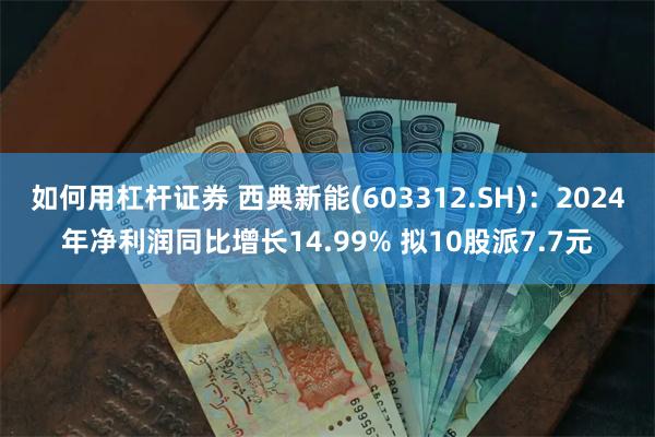 如何用杠杆证券 西典新能(603312.SH)：2024年净利润同比增长14.99% 拟10股派7.7元