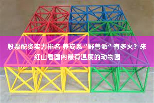 股票配资实力排名 养成系“野兽派”有多火？来红山看国内最有温度的动物园