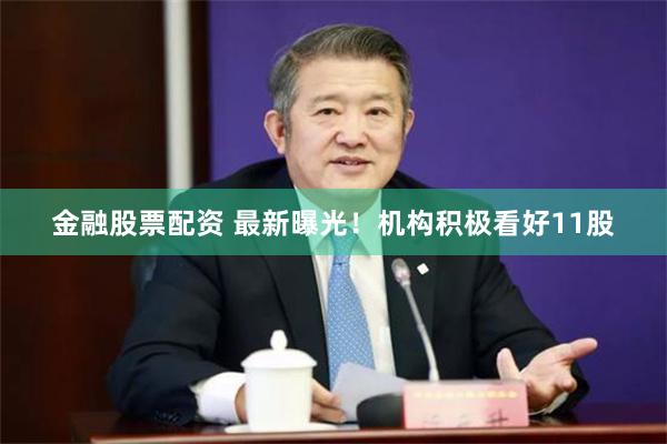 金融股票配资 最新曝光！机构积极看好11股