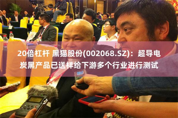 20倍杠杆 黑猫股份(002068.SZ)：超导电炭黑产品已送样给下游多个行业进行测试