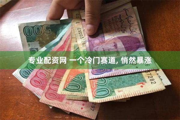 专业配资网 一个冷门赛道, 悄然暴涨