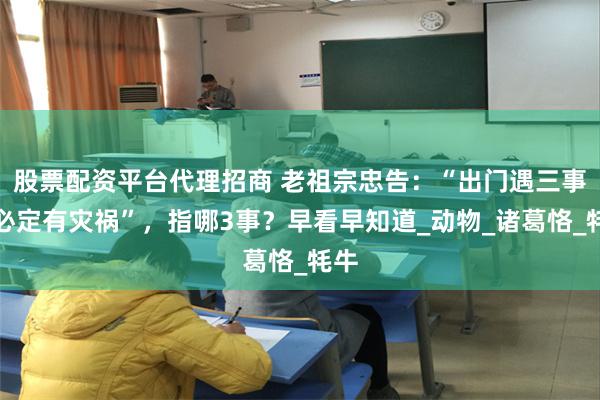 股票配资平台代理招商 老祖宗忠告：“出门遇三事，必定有灾祸”，指哪3事？早看早知道_动物_诸葛恪_牦牛