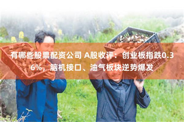 有哪些股票配资公司 A股收评：创业板指跌0.36%，脑机接口、油气板块逆势爆发