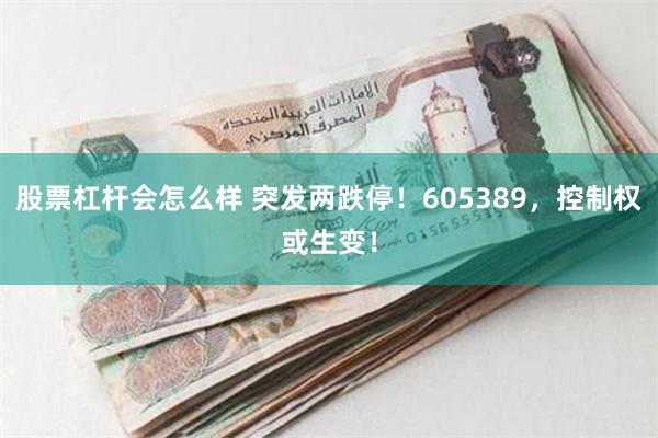 股票杠杆会怎么样 突发两跌停！605389，控制权或生变！